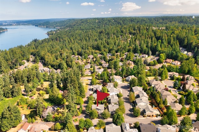 20904 SE 5th St, Sammamish, WA 98074 - photo 40