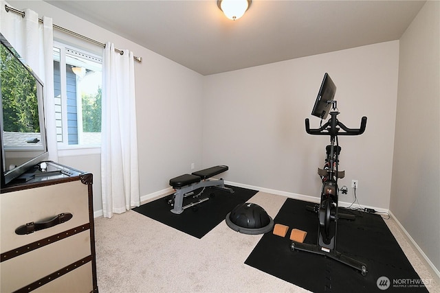 3231 102nd Ave NE, Lake Stevens, WA 98258 - photo 27