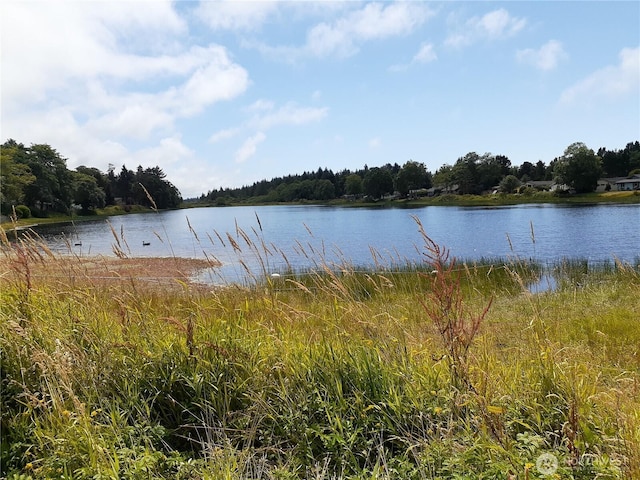 25039 Dell Pl, Ocean Park, WA 98640 - photo 33