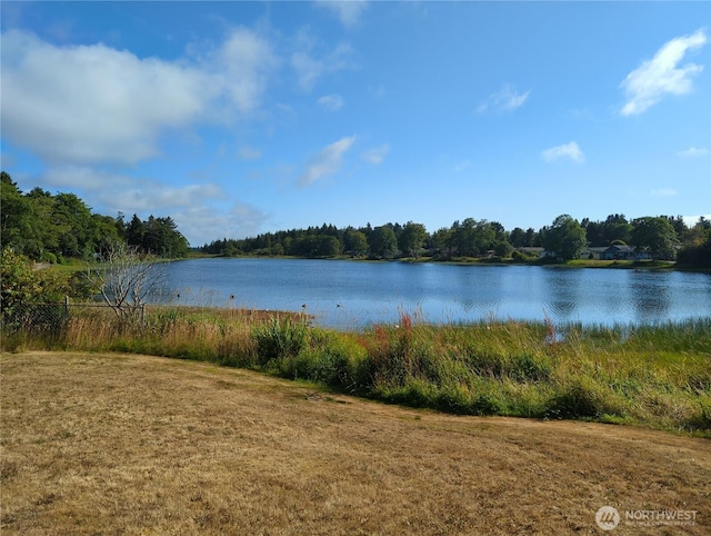 25039 Dell Pl, Ocean Park, WA 98640 - photo 34