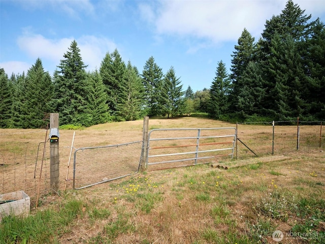 1109 NE 389th St, Woodland, WA 98674 - photo 31