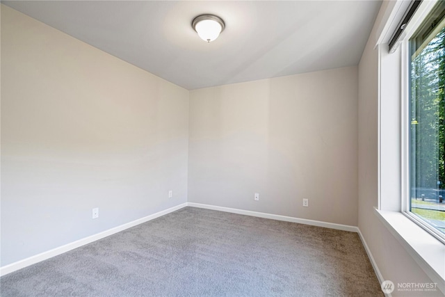 1403 246th Ave NE, Sammamish, WA 98074 - photo 15