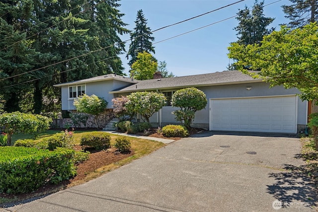 12055 25th Ave NE, Seattle, WA 98125 - photo 2