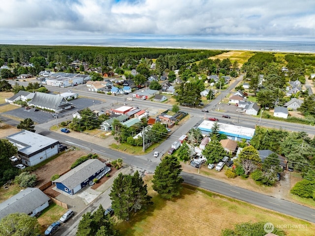 4814 N Pl, Seaview, WA 98644 - photo 28
