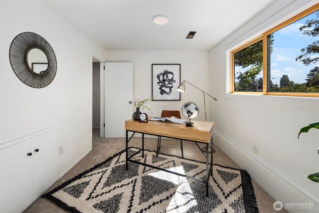 8139 14th Ave SW, Seattle, WA 98106 - photo 19