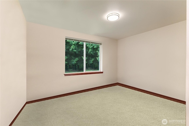 22237 Shady Ln, Mount Vernon, WA 98274 - photo 30