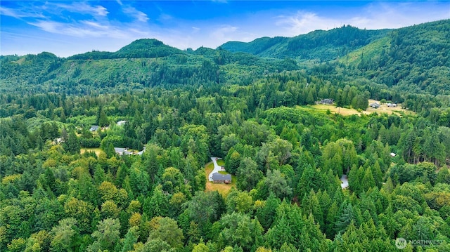 22237 Shady Ln, Mount Vernon, WA 98274 - photo 37