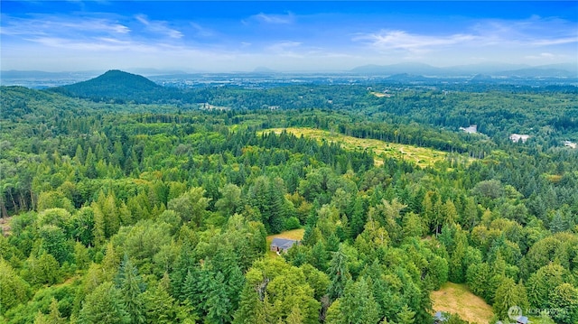 22237 Shady Ln, Mount Vernon, WA 98274 - photo 38