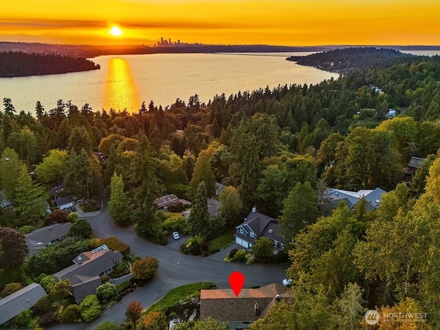 8413 SE 53rd Pl, Mercer Island, WA 98040 - photo 31