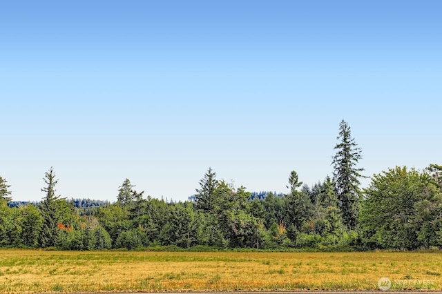 2025 E 9th St, La Center, WA 98629 - photo 29