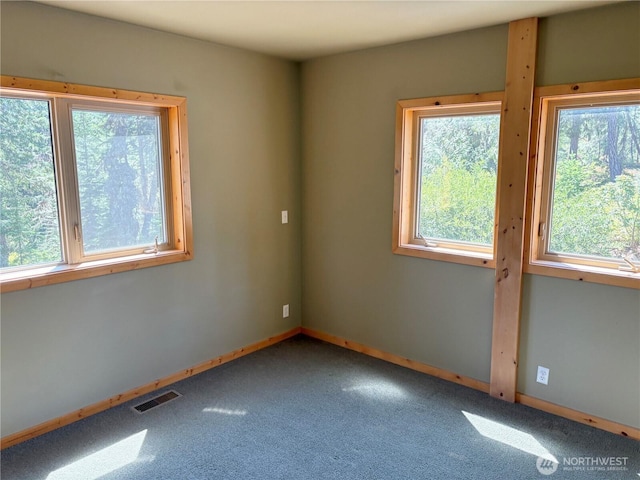 3311 Kachess Lake Rd, Easton, WA 98925 - photo 17