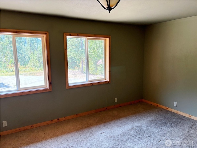 3311 Kachess Lake Rd, Easton, WA 98925 - photo 33