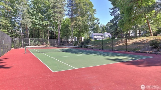 3804 243rd Pl SE, Sammamish, WA 98029 - photo 30