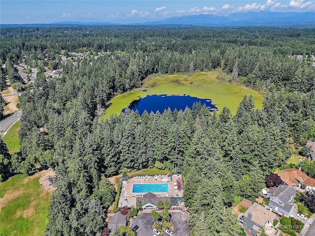 3804 243rd Pl SE, Sammamish, WA 98029 - photo 33
