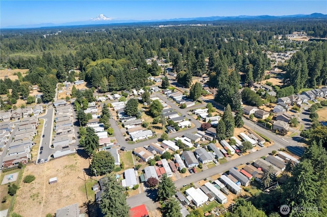 3244 66th Ave Unit 48, Olympia, WA 98512 - photo 32