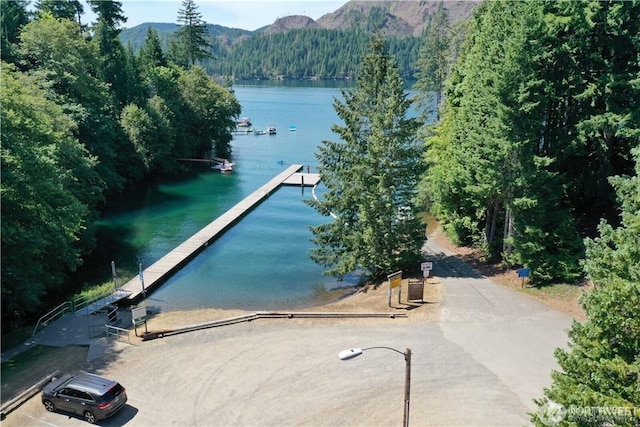 31 N Deer Ln, Hoodsport, WA 98548 - photo 30