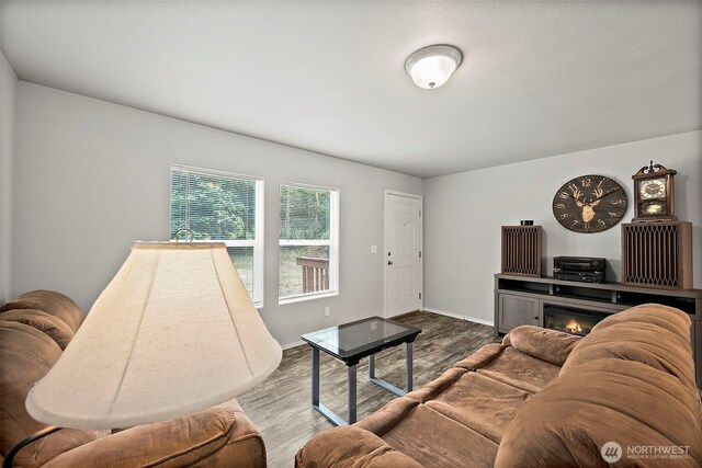 35717 74th Ave S, Roy, WA 98580 - photo 6