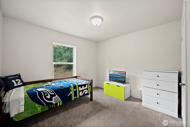 35717 74th Ave S, Roy, WA 98580 - photo 17