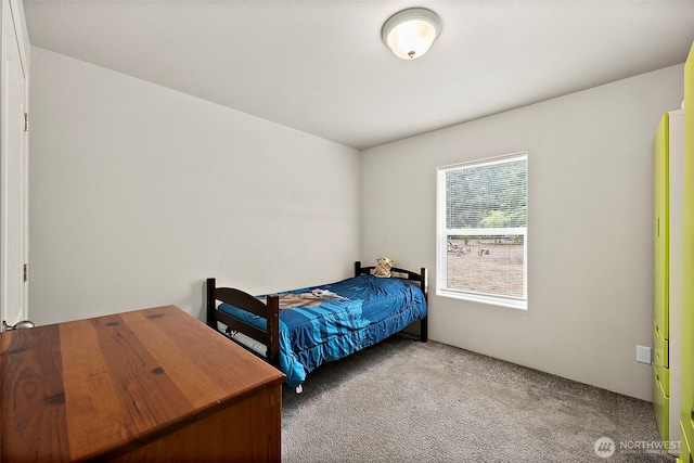 35717 74th Ave S, Roy, WA 98580 - photo 18