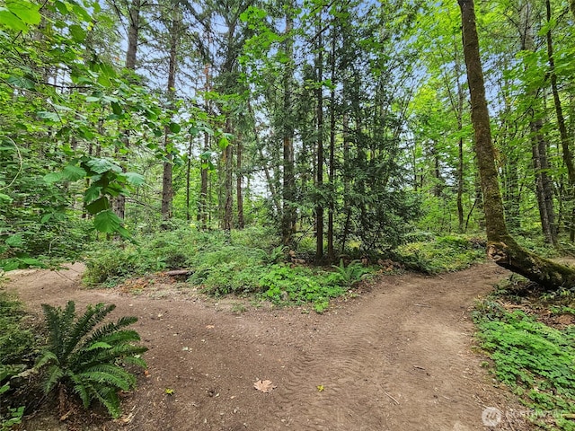 35717 74th Ave S, Roy, WA 98580 - photo 30