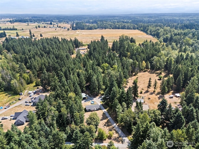 35717 74th Ave S, Roy, WA 98580 - photo 35