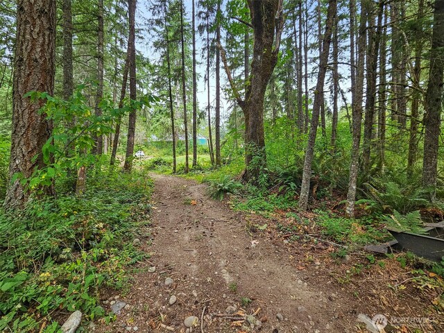 35717 74th Ave S, Roy, WA 98580 - photo 31