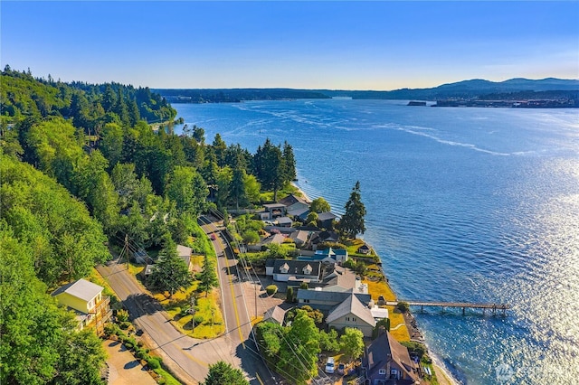 3643 Beach Dr E, Port Orchard, WA 98366 - photo 39