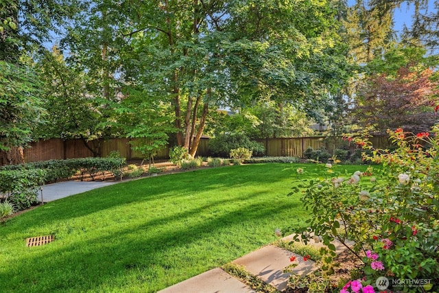 10453 SE 19th St, Bellevue, WA 98004 - photo 3