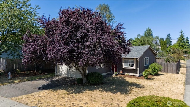 249 E 50th St, Tacoma, WA 98404 - photo 3