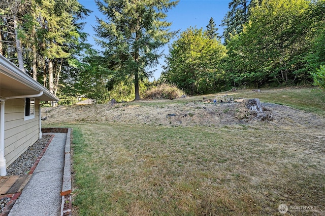 2885 Jackson Hwy, Chehalis, WA 98532 - photo 30