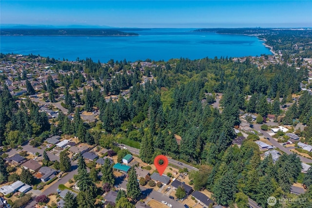 528 S 302nd St, Federal Way, WA 98003 - photo 34
