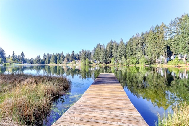 2016 192nd Avenue Ct SW, Lakebay, WA 98349 - photo 30