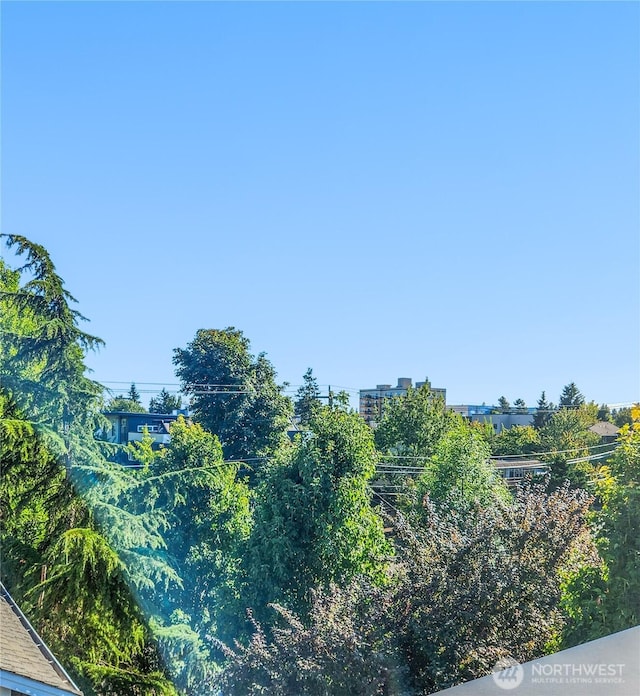 9710A Ashworth Ave N, Seattle, WA 98103 - photo 18