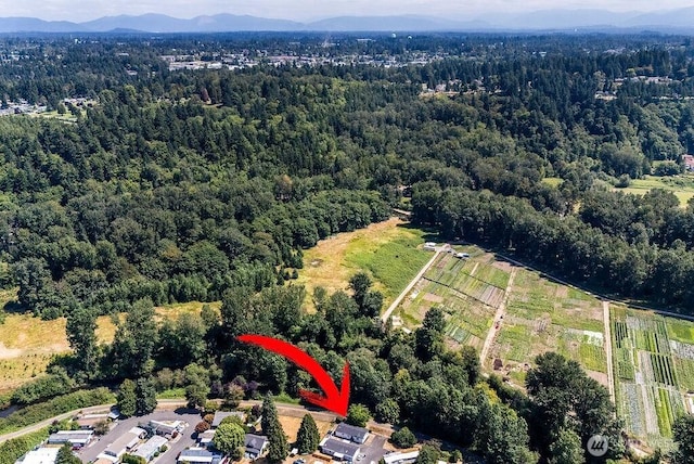 1540 Maple Ln Unit 35, Kent, WA 98030 - photo 6