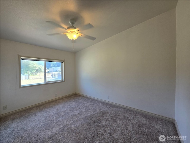 31 Dandelion Way, Sequim, WA 98382 - photo 16