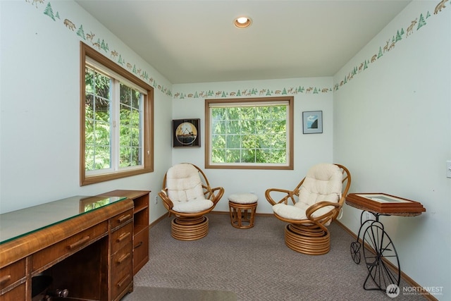 541 Grandview Dr, Sequim, WA 98382 - photo 29