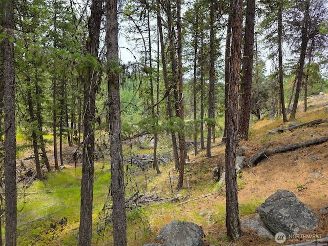 25 Outback Rd, Oroville, WA 98844 - photo 9