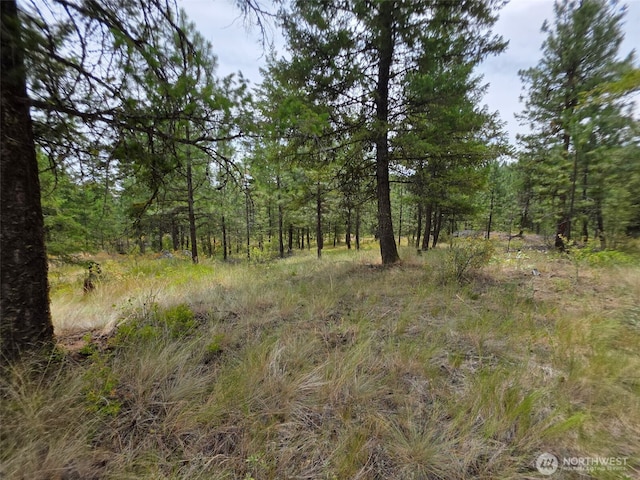 25 Outback Rd, Oroville, WA 98844 - photo 6