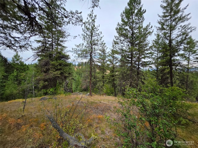 25 Outback Rd, Oroville, WA 98844 - photo 8