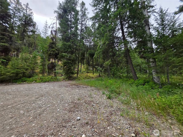 25 Outback Rd, Oroville, WA 98844 - photo 16