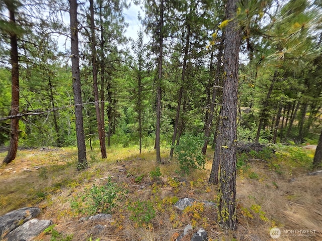 25 Outback Rd, Oroville, WA 98844 - photo 11