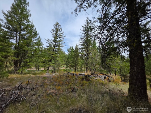 25 Outback Rd, Oroville, WA 98844 - photo 7