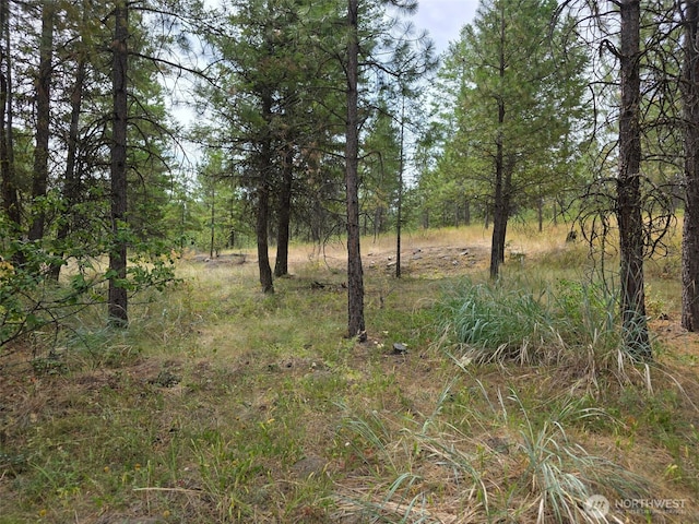 25 Outback Rd, Oroville, WA 98844 - photo 13