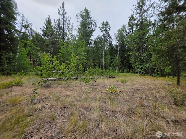 25 Outback Rd, Oroville, WA 98844 - photo 3