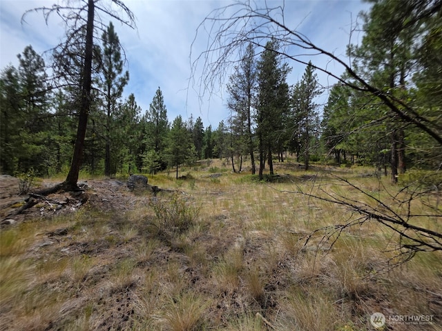 25 Outback Rd, Oroville, WA 98844 - photo 4
