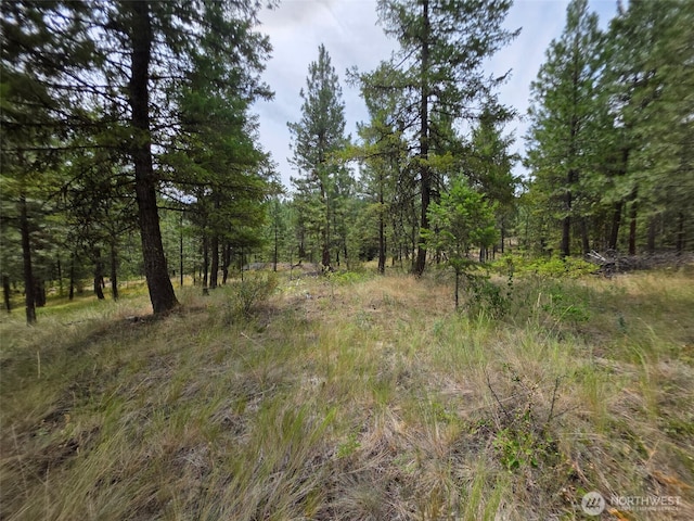 25 Outback Rd, Oroville, WA 98844 - photo 12