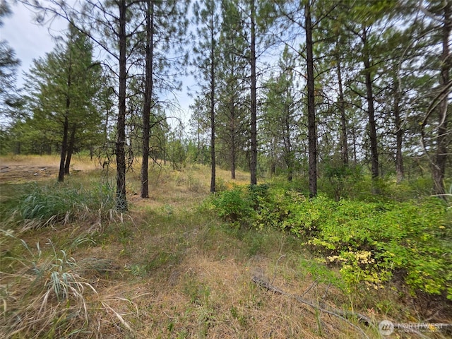 25 Outback Rd, Oroville, WA 98844 - photo 14