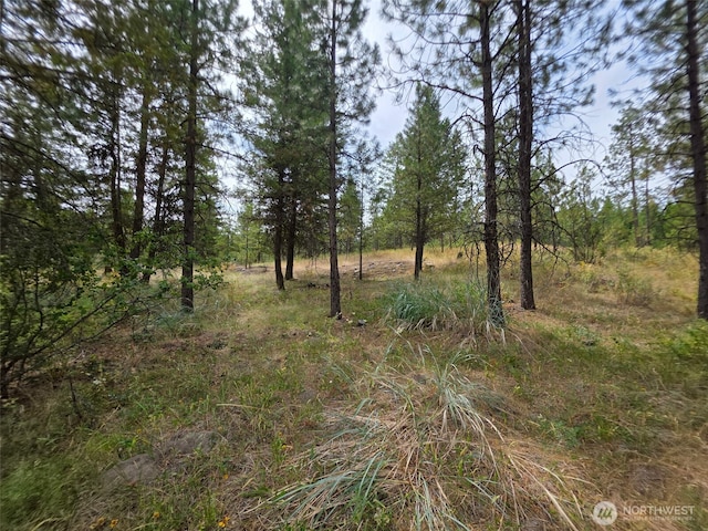 25 Outback Rd, Oroville, WA 98844 - photo 15