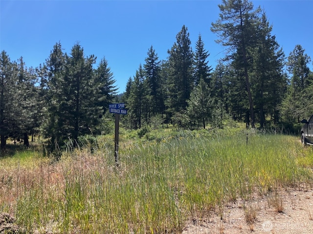 25 Outback Rd, Oroville, WA 98844 - photo 1