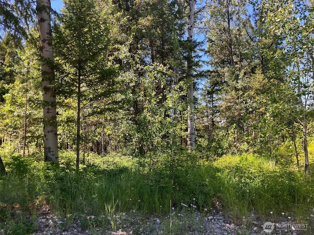 25 Outback Rd, Oroville, WA 98844 - photo 19